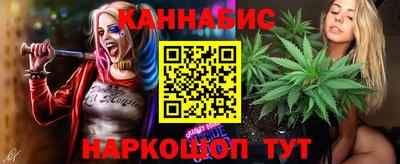 индика Будённовск