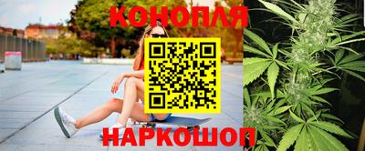 индика Будённовск